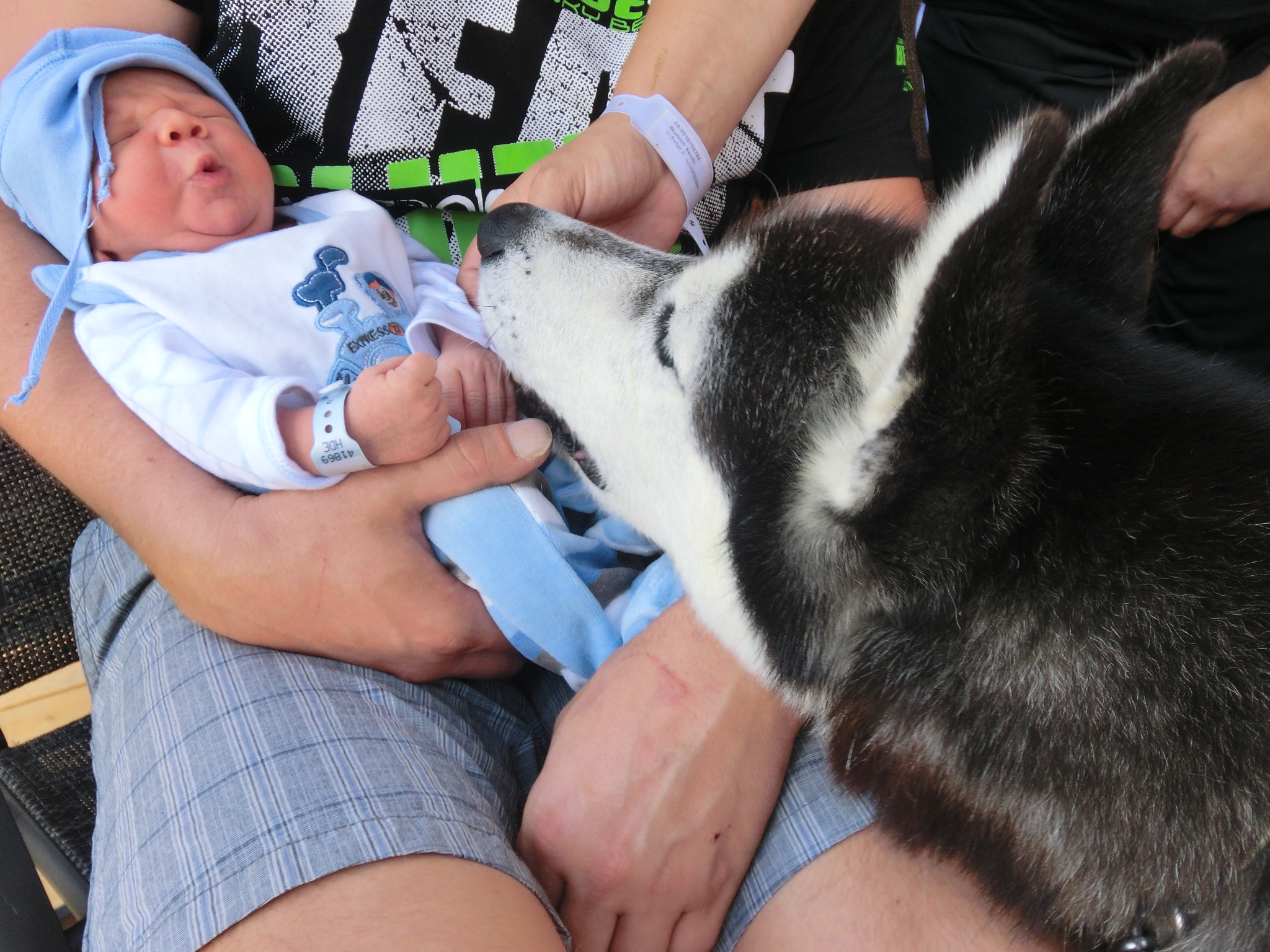 Hund &amp; Baby